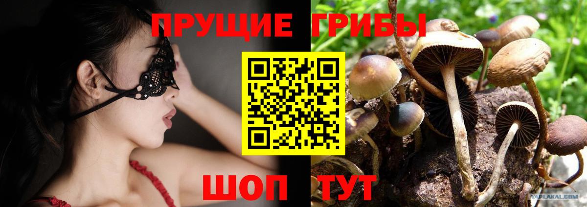 Галлюциногенные грибы Psilocybine cubensis Орёл